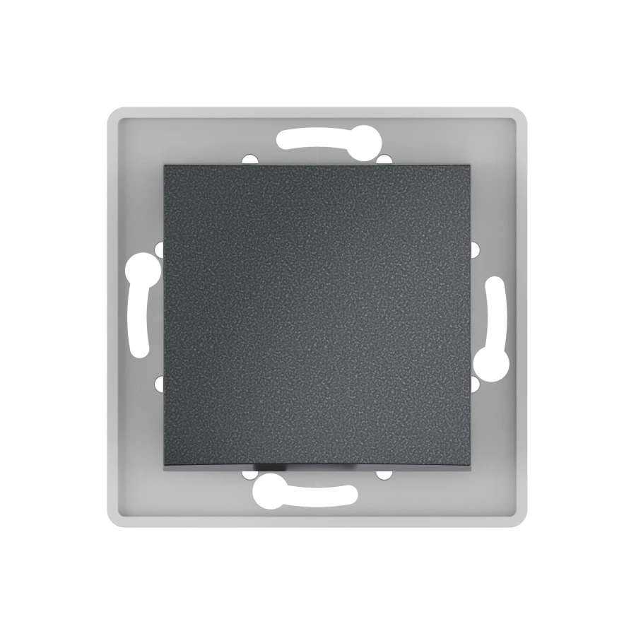 CADUCEUS ALING PRESTIGE Graphite Two-Pole Switch 10A, 250V, Model 60052.2