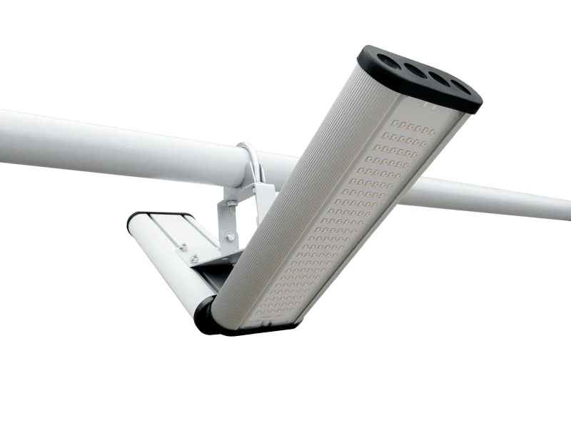 Street Light "Galochka ST", 96W