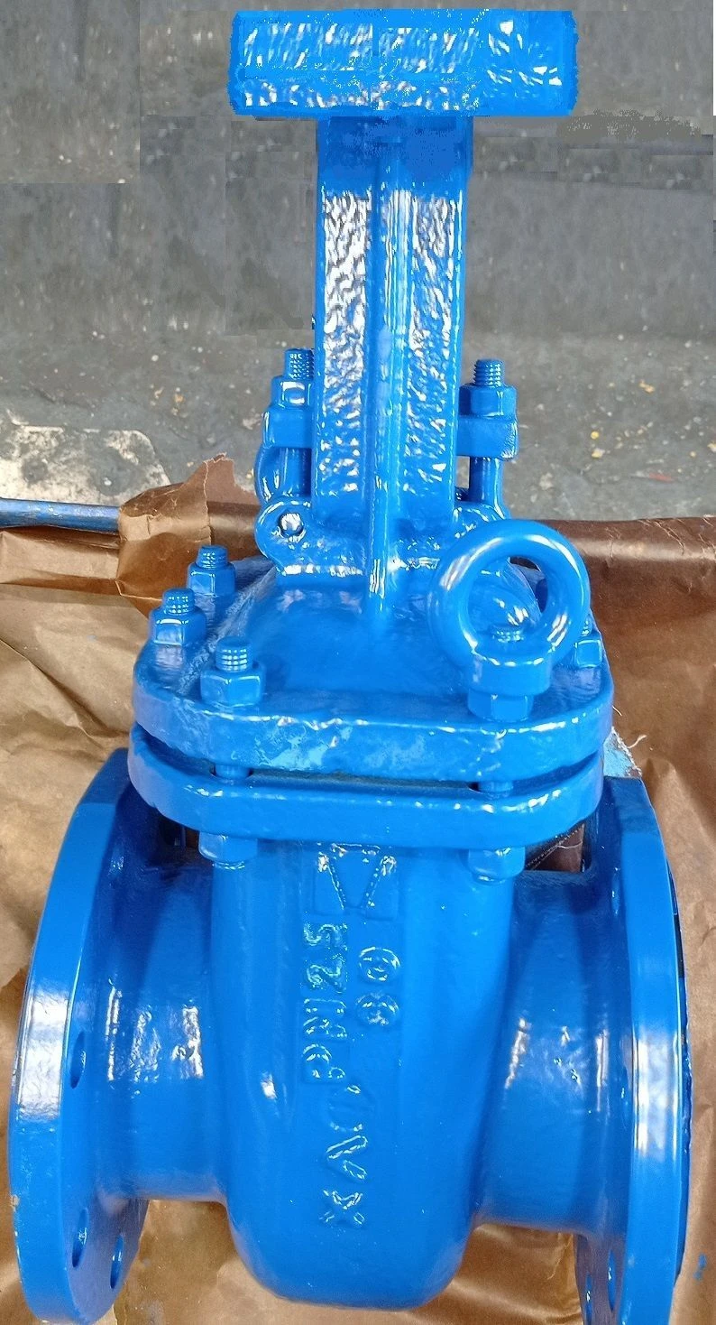 Steel Wedge Gate Valve with Rising Stem for PN 2.5 MPa DN 80