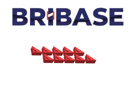 BB.VS.100.60.010 Комплект из 10 заглушек Mini Grip BriBase