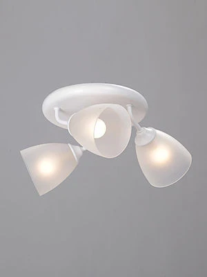 General Purpose Fixed Light V4356-0/3PL