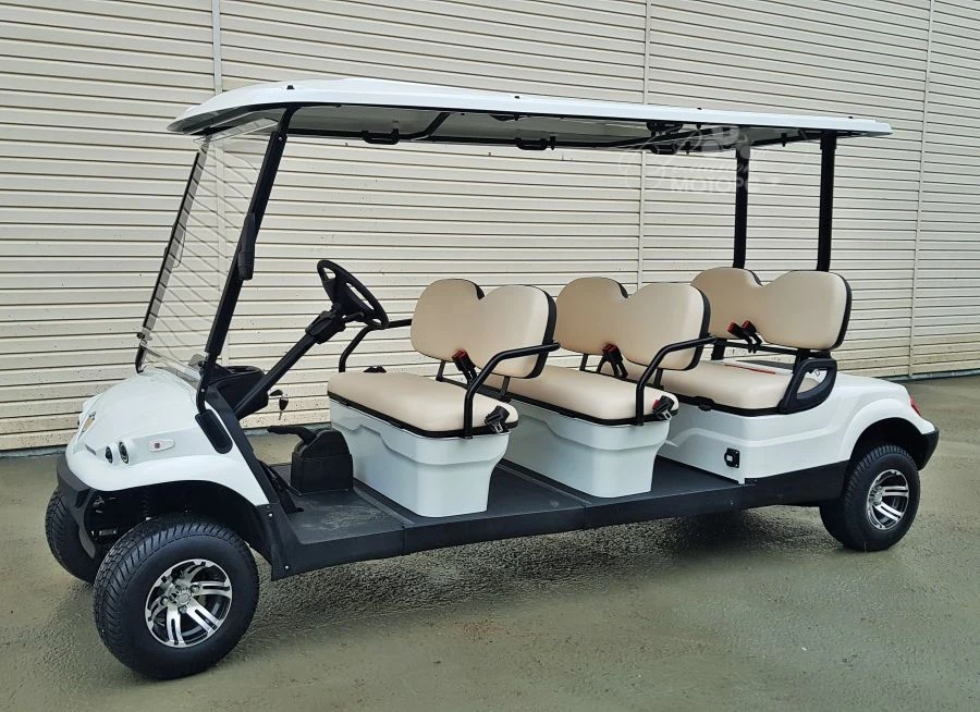 Concordia GK6 Passenger Electric Vehicle