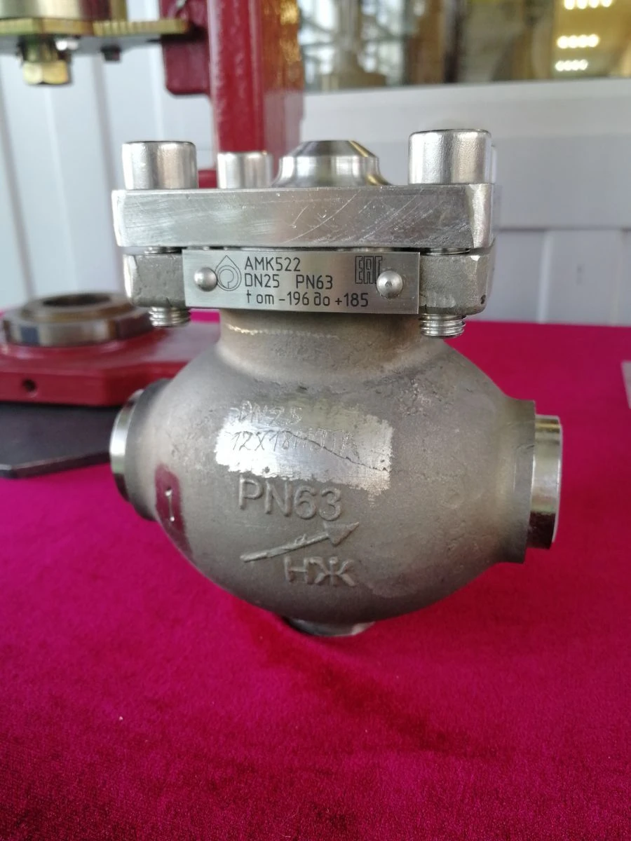 Check Valves for Flow Direction Control