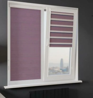 Zebra Roller Blinds Cassette Type