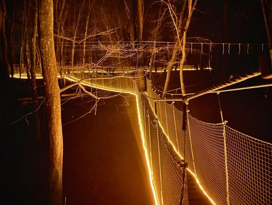 Eco-Trail Sports Platform - Rope City Complex