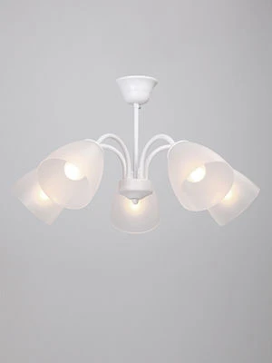 General-Purpose Stationary Lamp for Incandescent Bulbs V3950-0/5PL