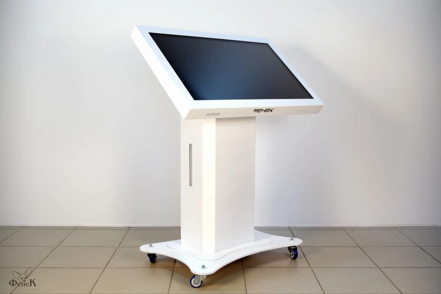 Interactive Table Fenek with Built-in Computer