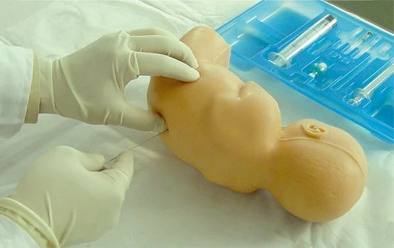 Lumbar Puncture Newborn Model L60A