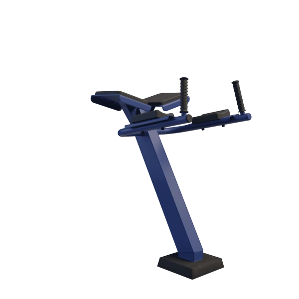 Reverse Hyperextension Machine for Physical Development