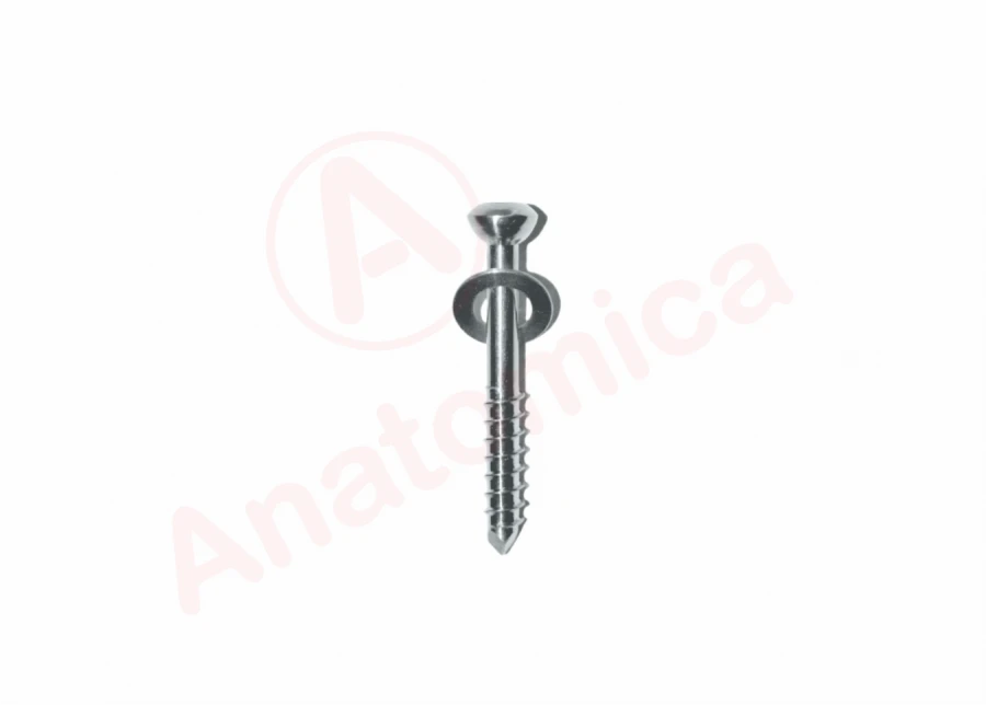 Bone Fixation Screw - Anatomical Design