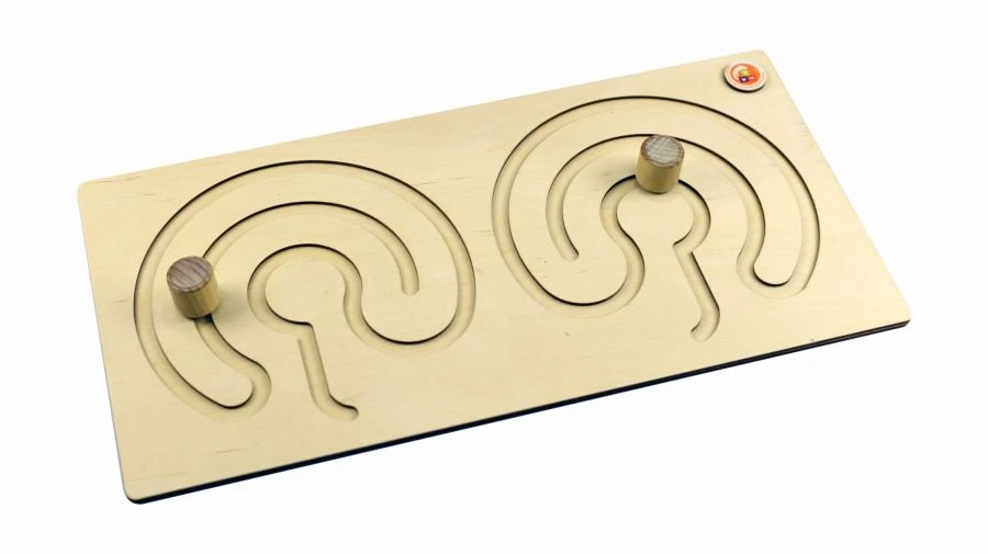 Brain Hemisphere Board with Stylus and Wooden Sticks