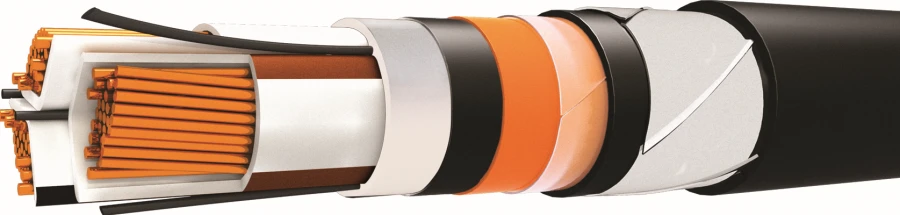 Armored Power Cable AVBShvng(A) for 6kV Voltage