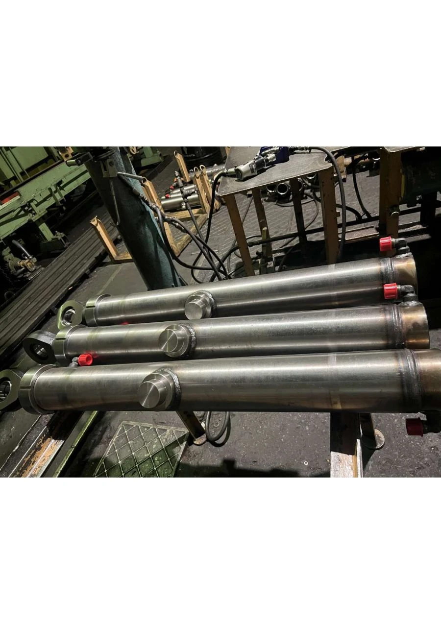 Hydraulic Cylinder for Reciprocating Motion Applications SDM-25A.36.05.100