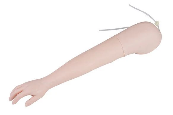 Advanced Injection Practice Model Right Arm, NS6003/S8