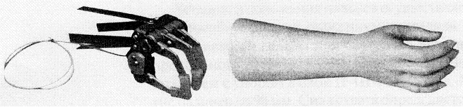 Active Hand Prosthesis for Traction, Right/Left Model