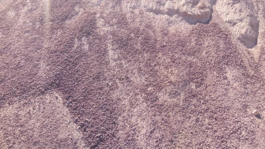 Crushed Stone Sand, Fraction 0-5 mm