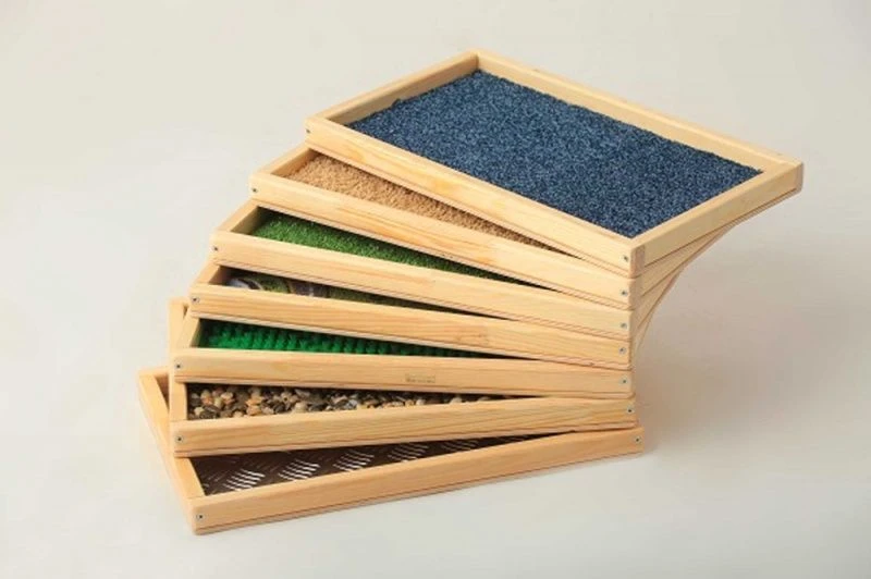 Sensory Pathway for Development of Tactile Skills