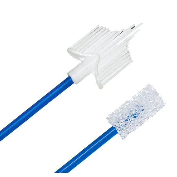 F2-H2-2 Dual-Sided Cervical Brush/Tampon for Diagnostics