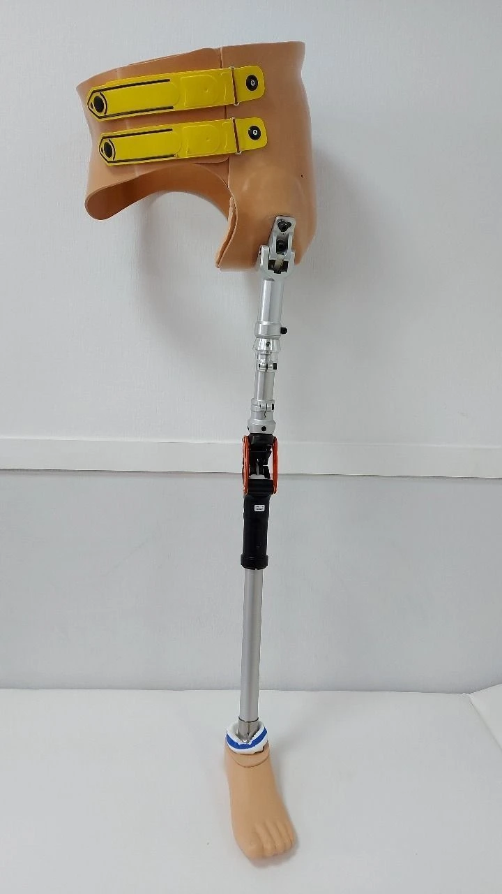Modular Hip Prosthesis PN8-M1 for Transfemoral Amputation