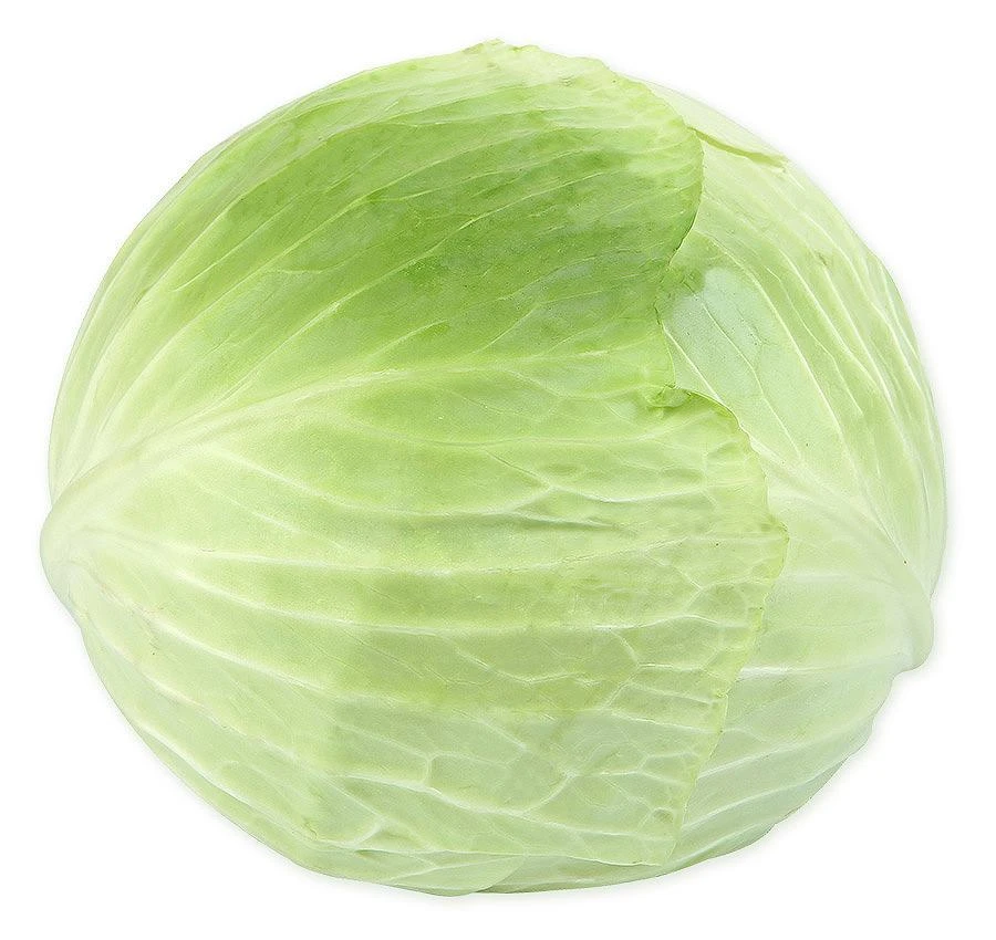 Fresh Late White Cabbage