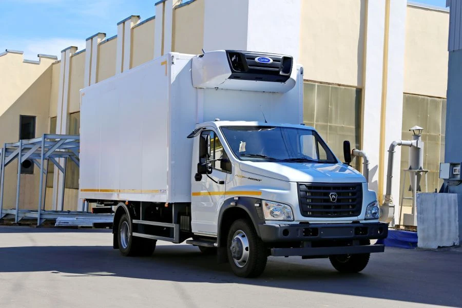 Isothermal Refrigerated Van for Food Transportation Model 47951C-3