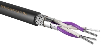 Thermoelectric Cable with Metal and Alloy Wires, TERK ng(A)-** VK