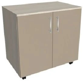 Mobile Two-Door Medical Cabinet KSTTmP 2-02