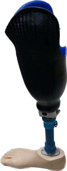 Bath Leg Prosthesis for Amputation