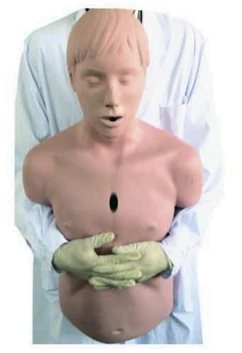Adult Airway Obstruction Simulation Model, CPR1550