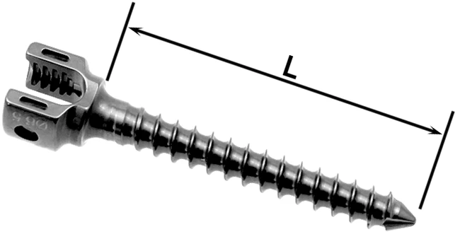 Non-Sterile Monoaxial Screw Ø6.0 mm, Length 25-60 mm, Thread Pitch 5 mm, Art. 830.3XX