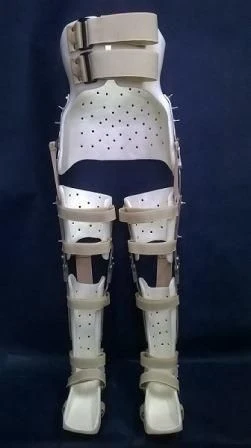 Lower Limb and Torso Orthosis Device (Orthosis)