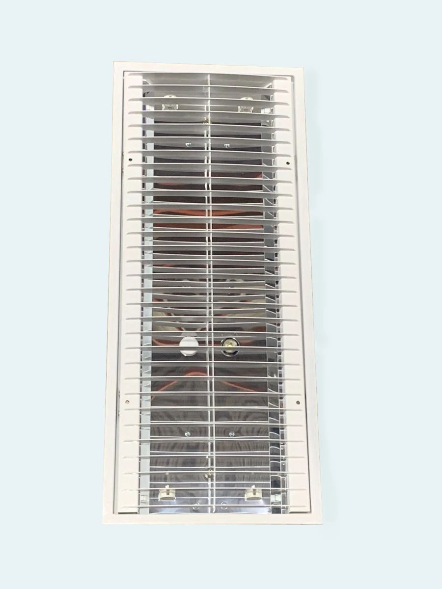 LWB06-28(2x2)-010 UHL4.2 Passenger Car Lighting Fixture
