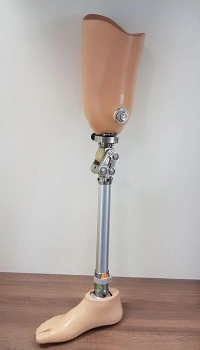 Modular Hip Prosthesis for All Age Groups Post-Amputation