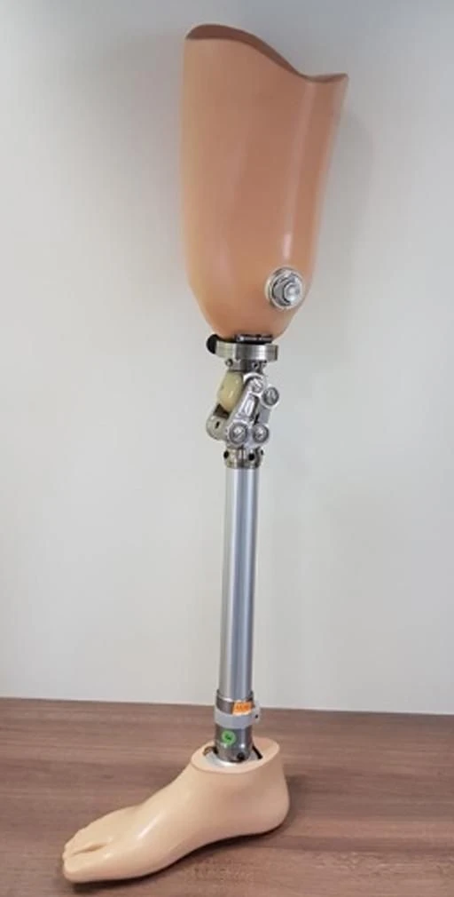 Modular Hip Prosthesis PN6-M.1 for Complete Replacement