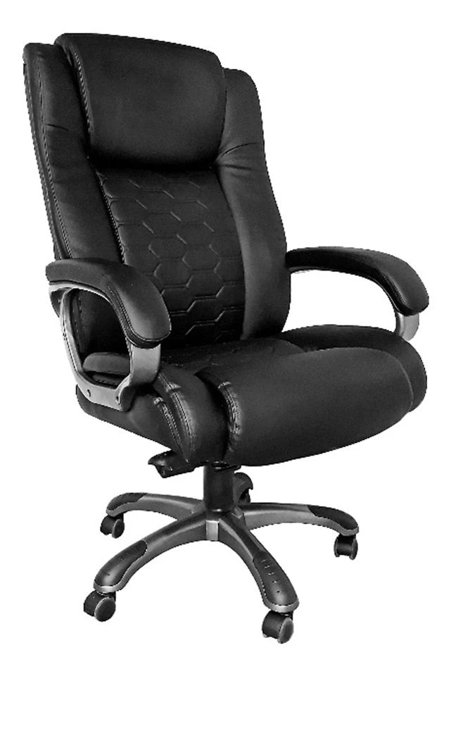 Echair 641 Model Chair