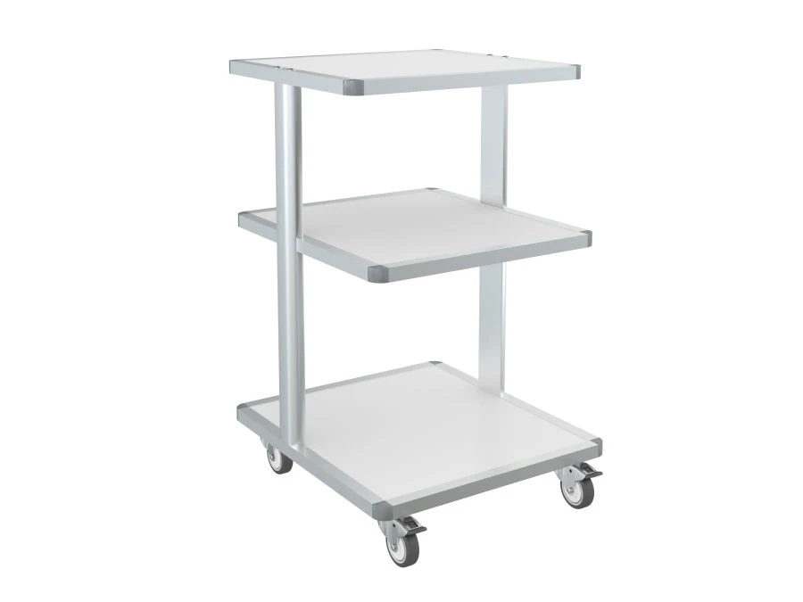 Laboratory Equipment Trolley Stand ST-2 "Labromed-3