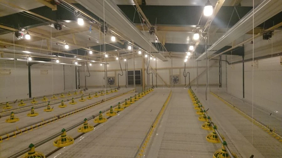 Broiler Chickens Floor Rearing Equipment TNV