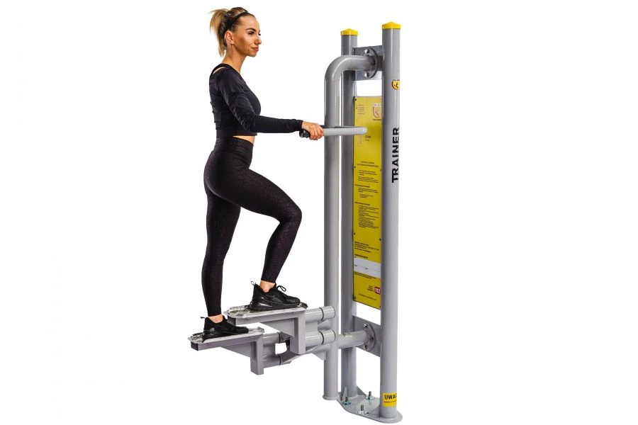 Stepper Motor D21 - High Precision and Efficiency