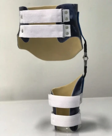 Orthopedic Device for Hip Joint - Amputation and Congenital Defects