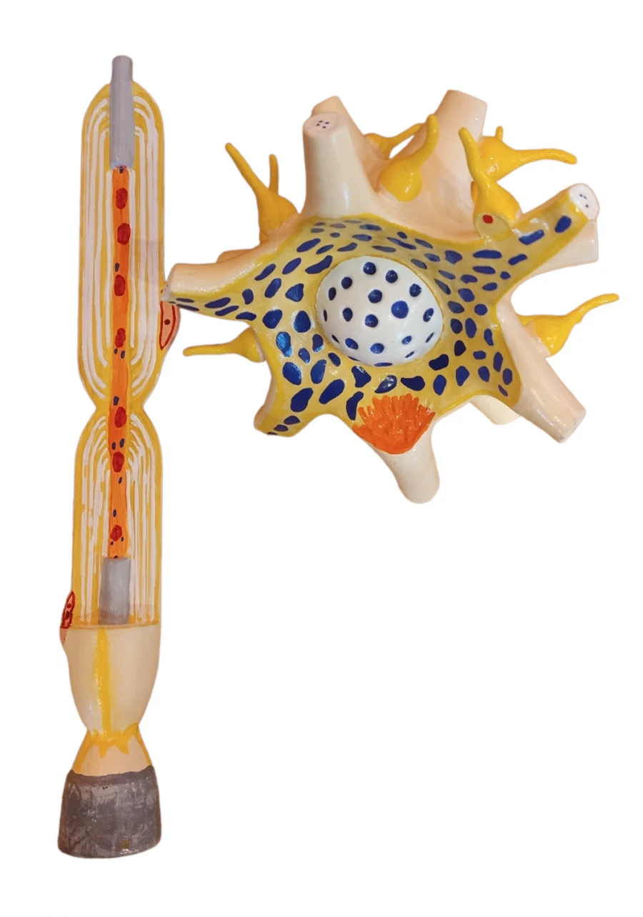 Enhanced Neuron Model for Human Brain Study, ROST-18001