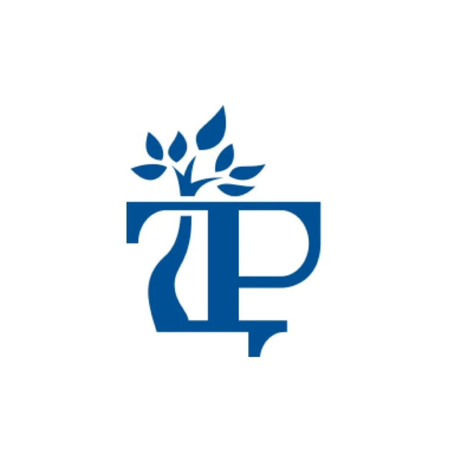 Rigid Back Support Corset KR0-T