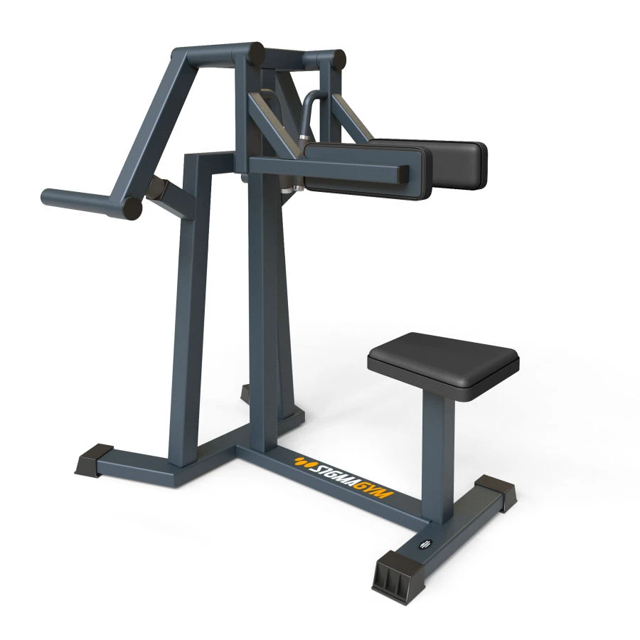 Delta Machine for Shoulder Training BF-216