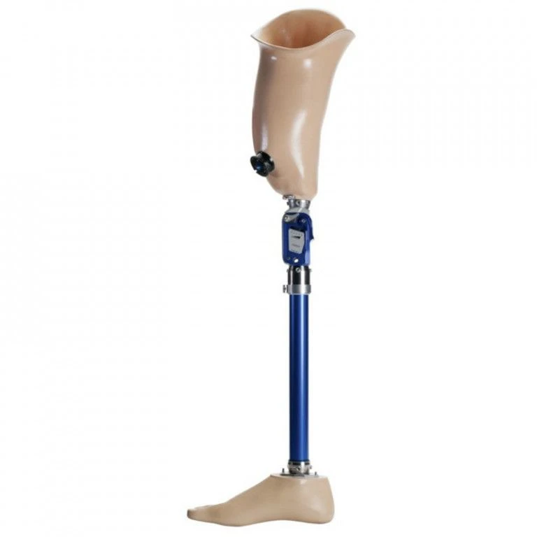 Bathing Hip Prosthesis 8-07-05