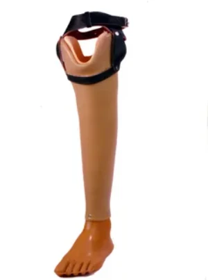 Non-Modular Shin Prosthesis PN3-42 for Congenital Limb Deficiencies