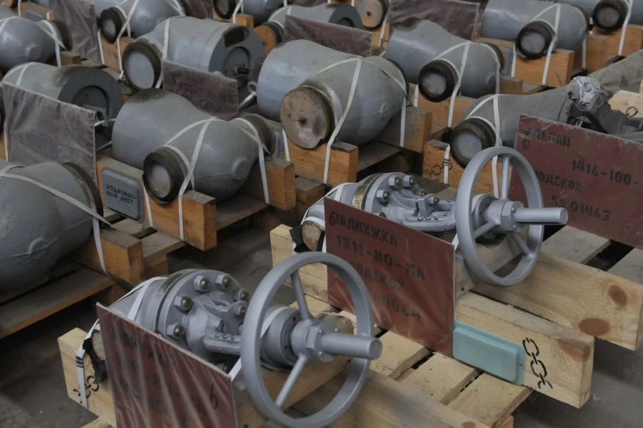 Gate Valve 883-250-CZP-02 for Nuclear Power Plants