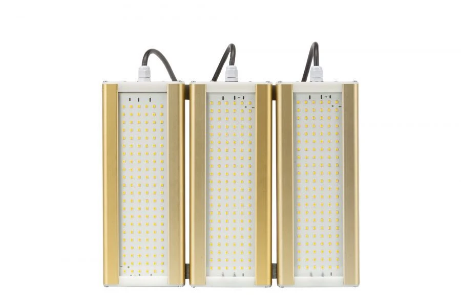 LED Lighting Module GOLD, Universal U-3, 4000K, 144W