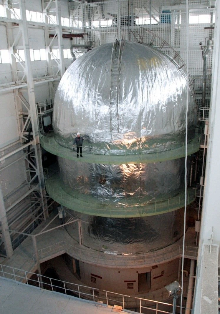 Large-Scale Experimental Service for Nuclear Power Plant Accident Simulation