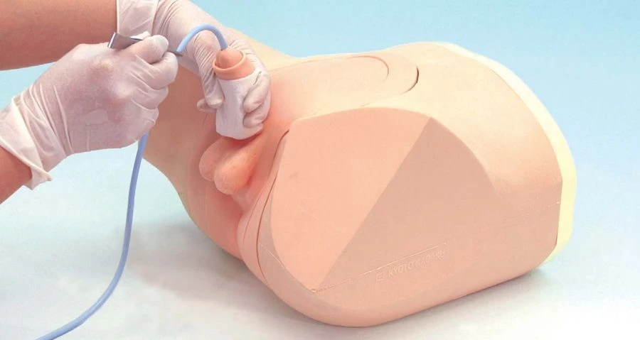 Catheterization and Enema Training Simulator, NS6070