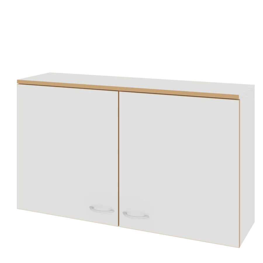 Non-Metal Wall Cabinets (LAB Series)
