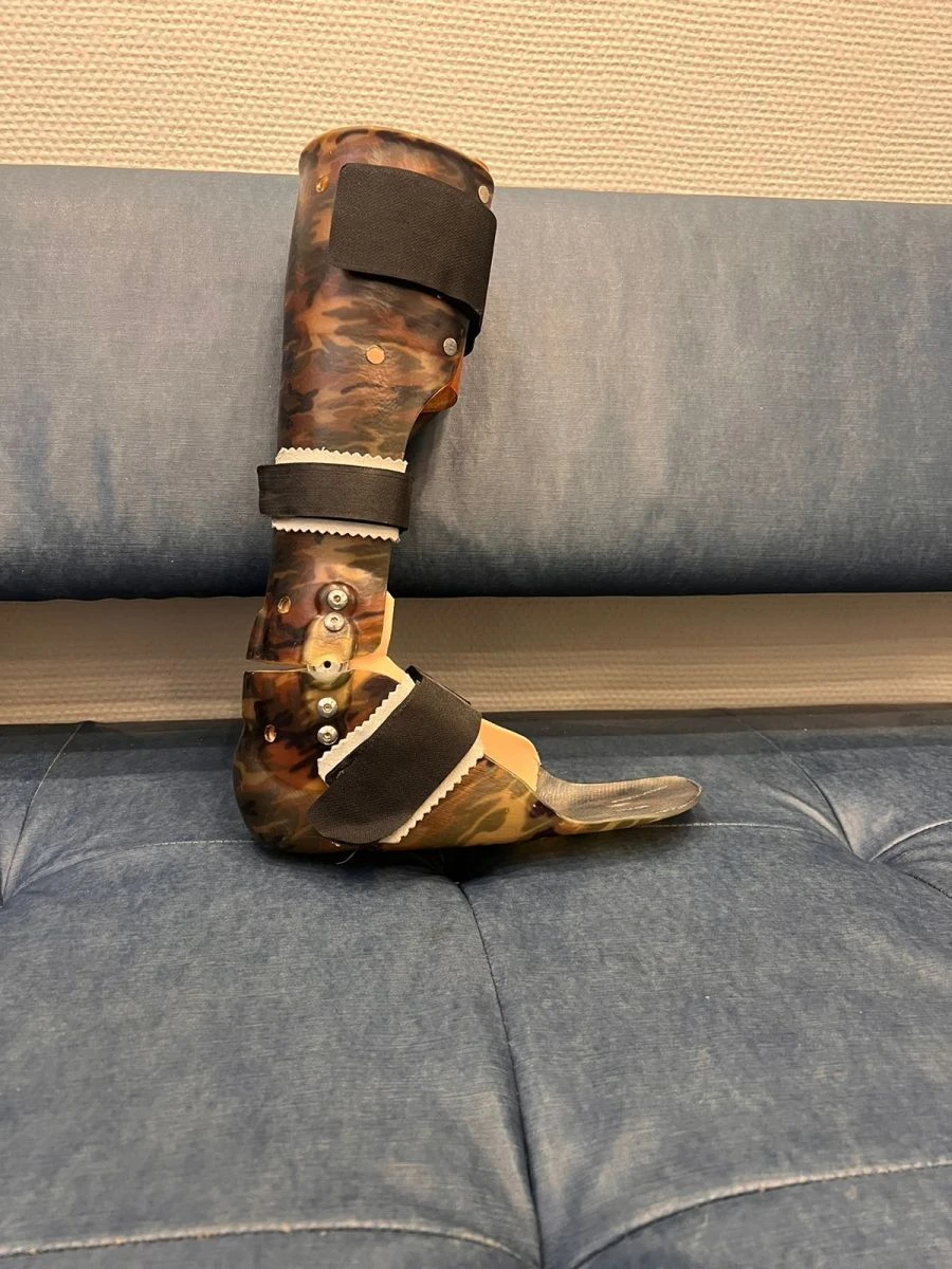 Ankle Joint Rehabilitation Device